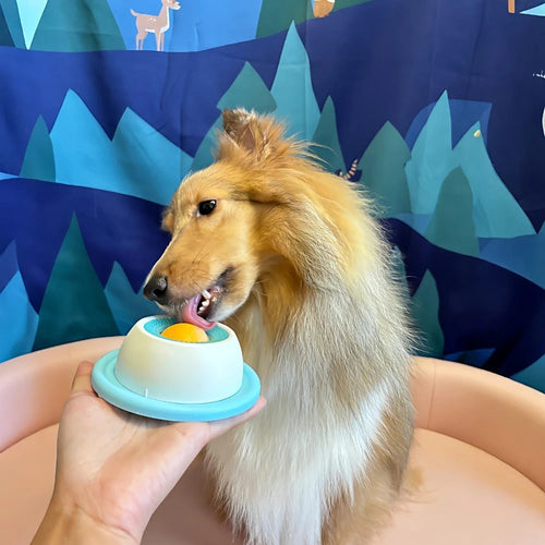 Calm Lick Slow-Feed Pet Buddy