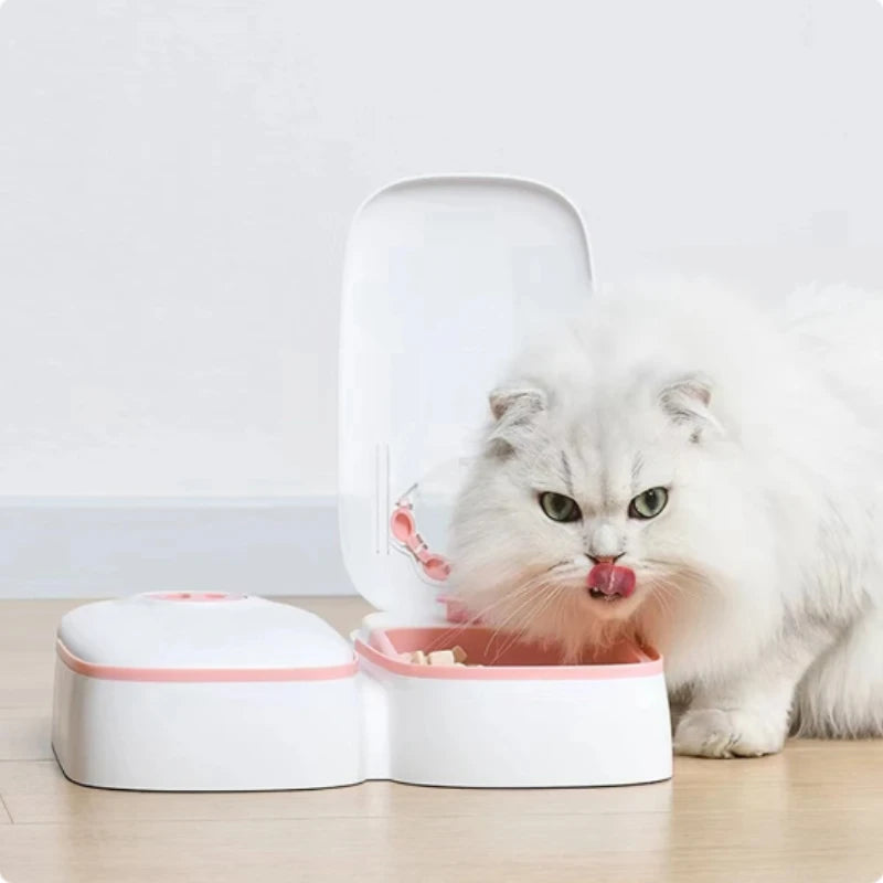 Smart Meal Mate Bowl